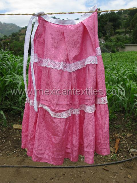 trapiche_viejo__24.JPG - another example of the skirt .